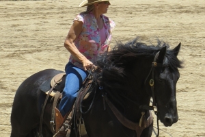 Broken Bit Ranch Series