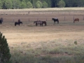 gallery-camp-trips-photo1