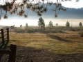 gallery-camp-trips-photo4