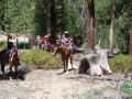 gallery-camp-trips-photo5