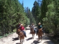 gallery-camp-trips-photo7