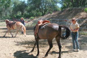 June 2011