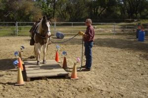 Mini Clinic April 2010 "Challenges"