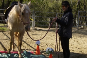 Mini Clinic at the Ranch March 2010