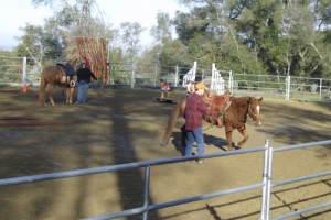 Mini Clinic Jan 2011