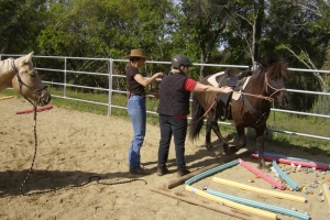 Mini Clinics at the Ranch April 2010