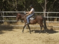 Copy (2) of Mule Days 019