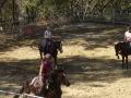 Copy (2) of Mule Days 043