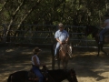 Copy (3) of Mule Days 015