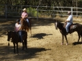 Copy (3) of Mule Days 033