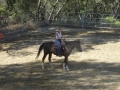 Copy of Mule Days 051