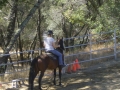 Mule Days 003-1