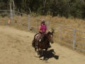 Mule Days 056
