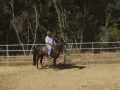 Mule Days 064