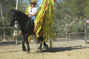 Obstacles and Challeges workshop - Oct 2013