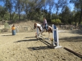 gallery-obstacles-workshop-2013-photo10