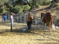 gallery-obstacles-workshop-2013-photo4