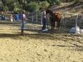 gallery-obstacles-workshop-2013-photo5