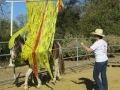 gallery-obstacles-workshop-2013-photo6
