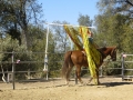 gallery-obstacles-workshop-2013-photo7