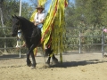 gallery-obstacles-workshop-2013-photo8