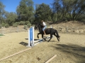 gallery-obstacles-workshop-2013-photo9
