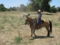 gallery-ranch-cinic-photo12