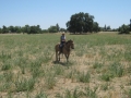 gallery-ranch-cinic-photo13