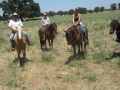 gallery-ranch-cinic-photo15