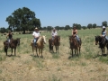gallery-ranch-cinic-photo16