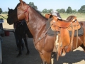 gallery-ranch-cinic-photo4