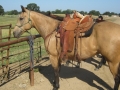 gallery-ranch-cinic-photo8