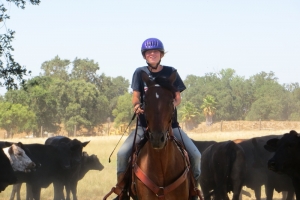 Ranch / Cow / Trail Workshop - July 2013