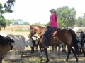 gallery-trail-workshops-photo10