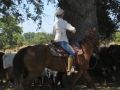 gallery-trail-workshops-photo11