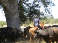 gallery-trail-workshops-photo14