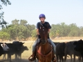 gallery-trail-workshops-photo16