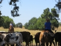 gallery-trail-workshops-photo17