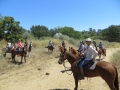 gallery-trail-workshops-photo5