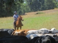 gallery-trail-workshops-photo7