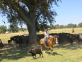 gallery-trail-workshops-photo9