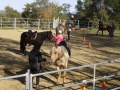 gallery-ride-hill-photo1