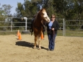 gallery-ride-hill-photo11
