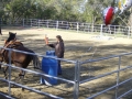 gallery-ride-hill-photo2