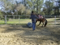 gallery-ride-hill-photo8