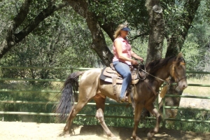 Summer Activities and Field Trips