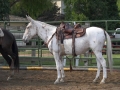 gallery-activities-trips-photo5