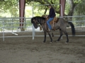 gallery-activities-trips-photo9