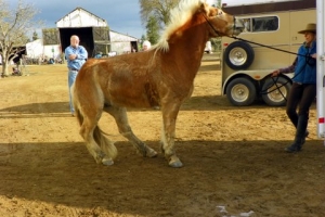 Trailor Loading Drill