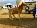 gallery-trailor-drill-photo1